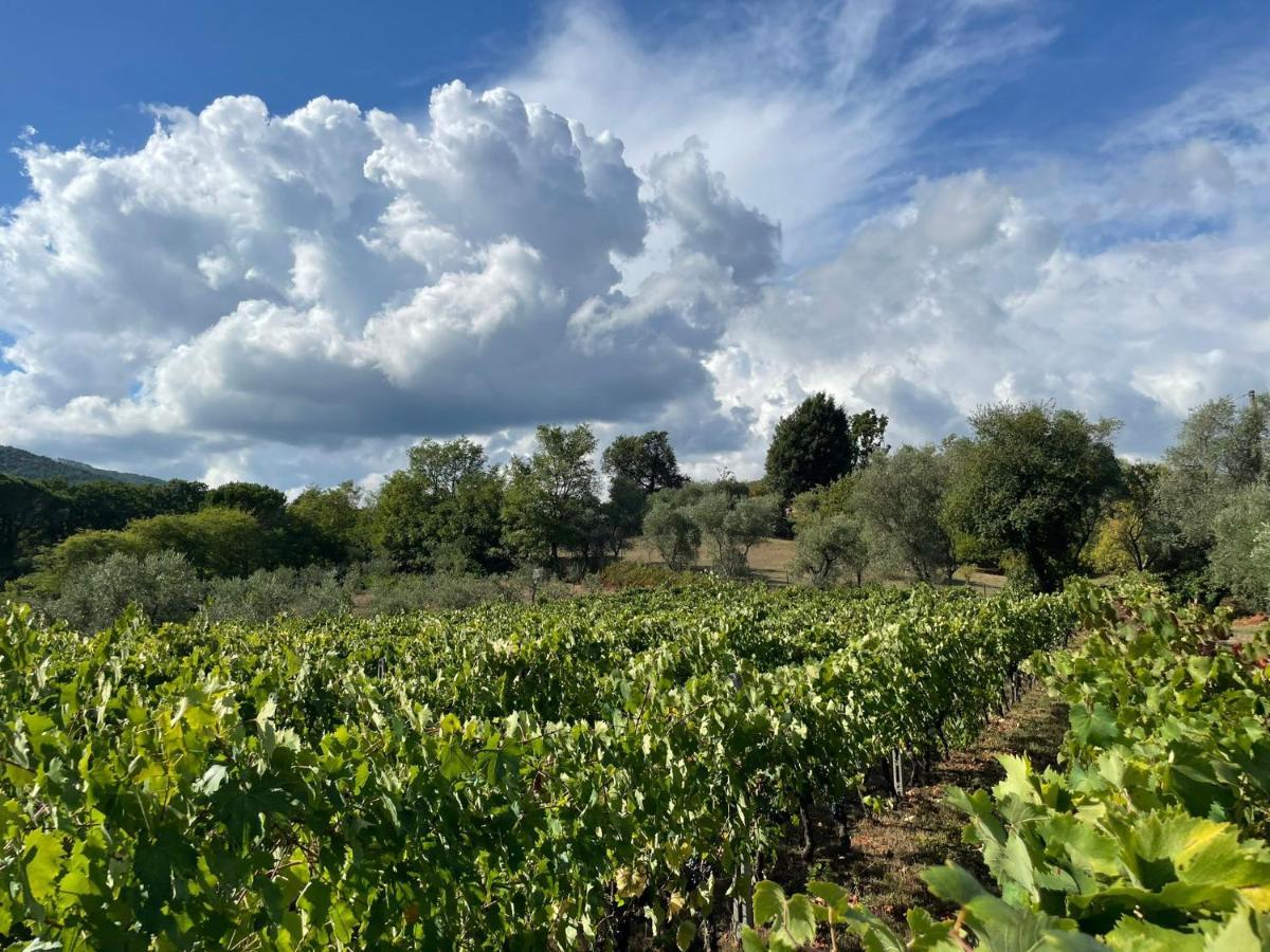 All'Ombra Del Tiglio Pistoia Exteriör bild